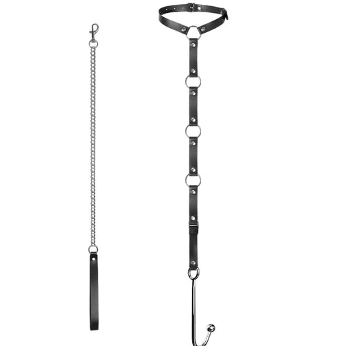 Anal Hooks and Anal Kinky EverydayUse Collar 5853 with Hook Leash 0204